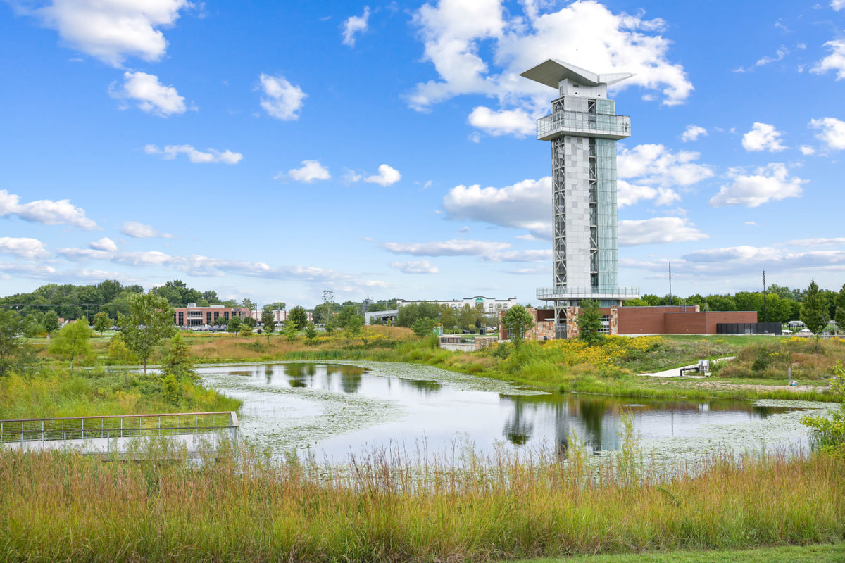 Blue Ash 018