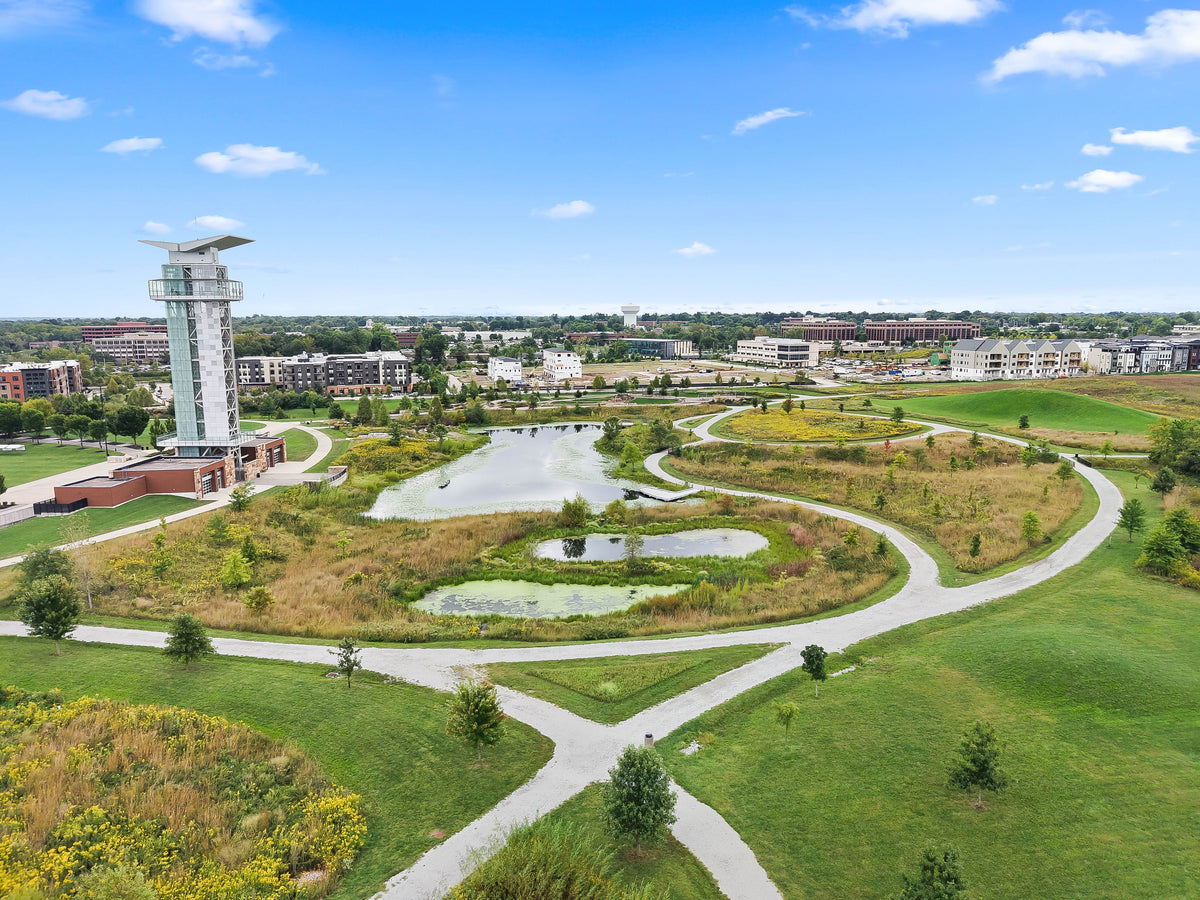 Blue Ash 033