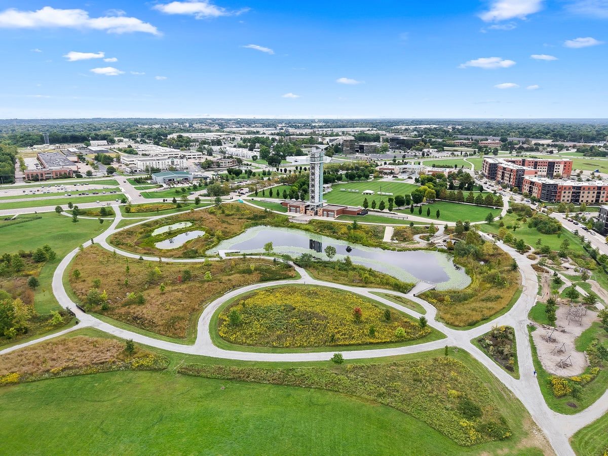 Blue Ash 034