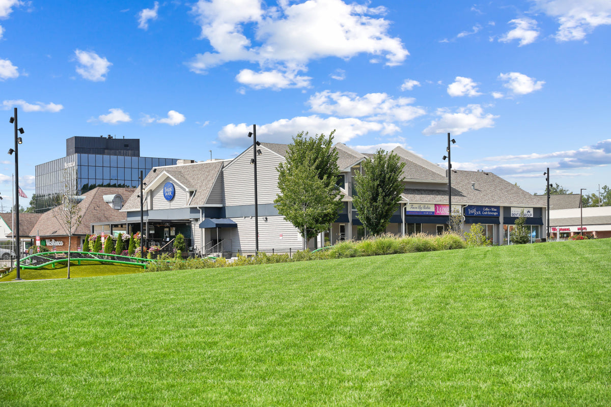 Blue Ash 053