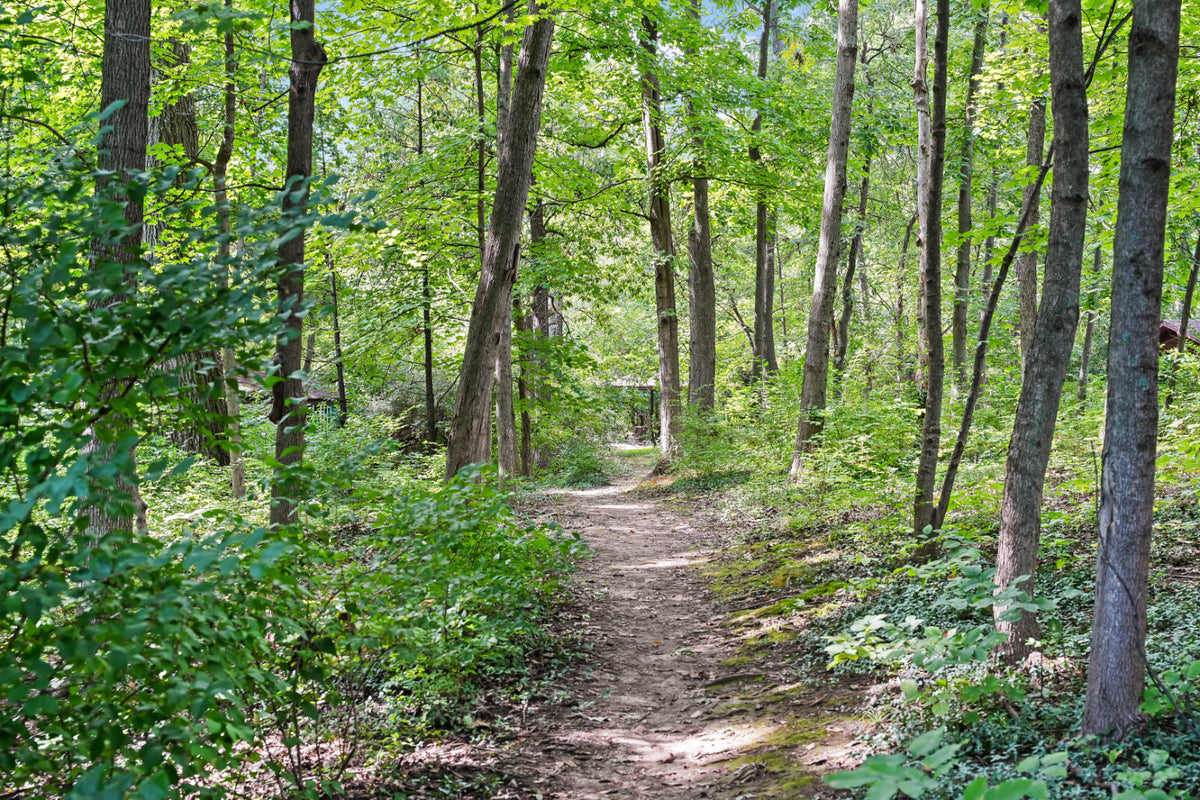 Blue Ash 061