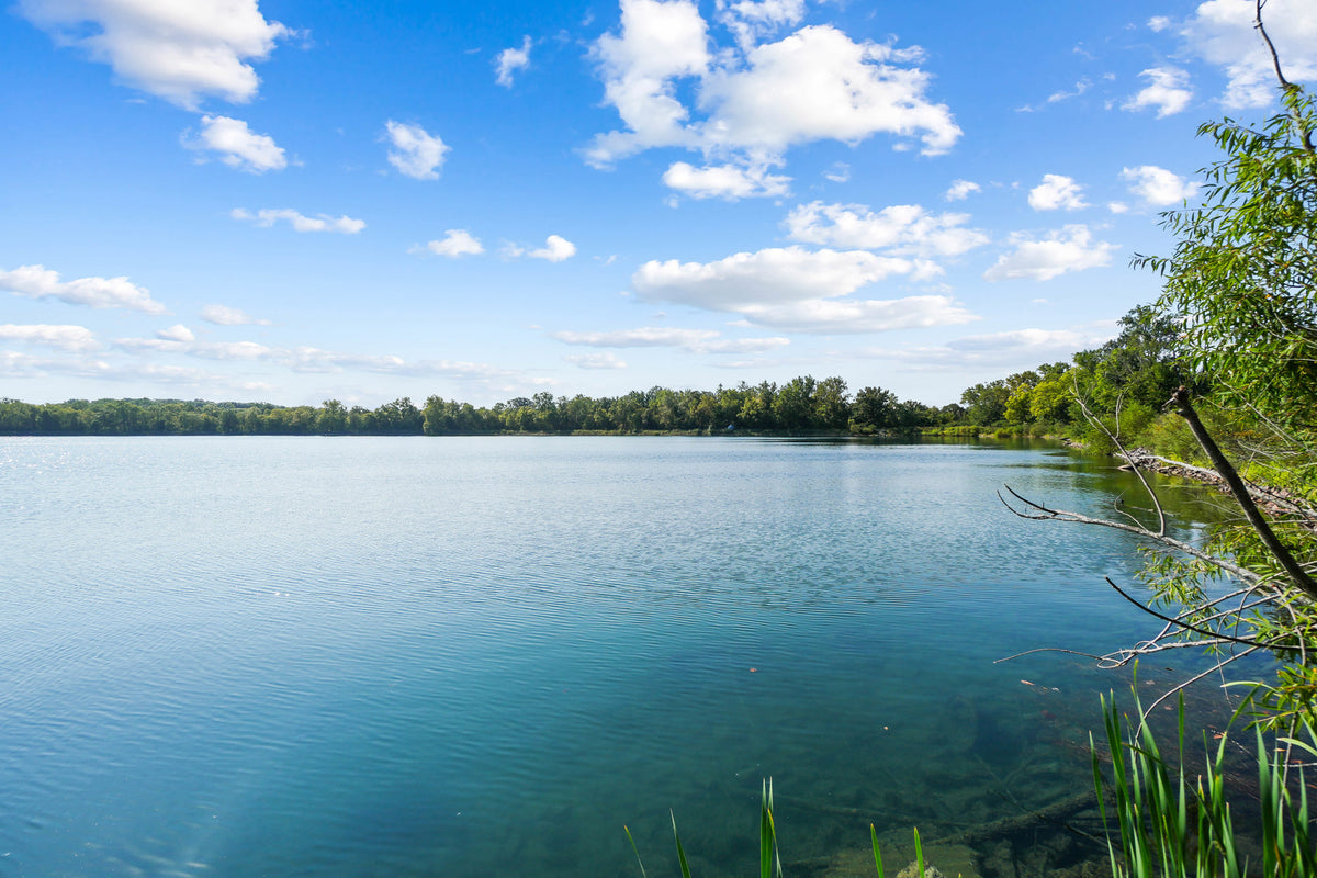 Ottawa Metro Park 17