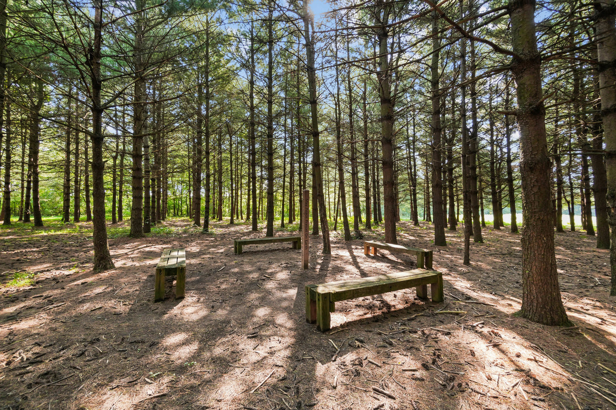 Ottawa Metro Park 22