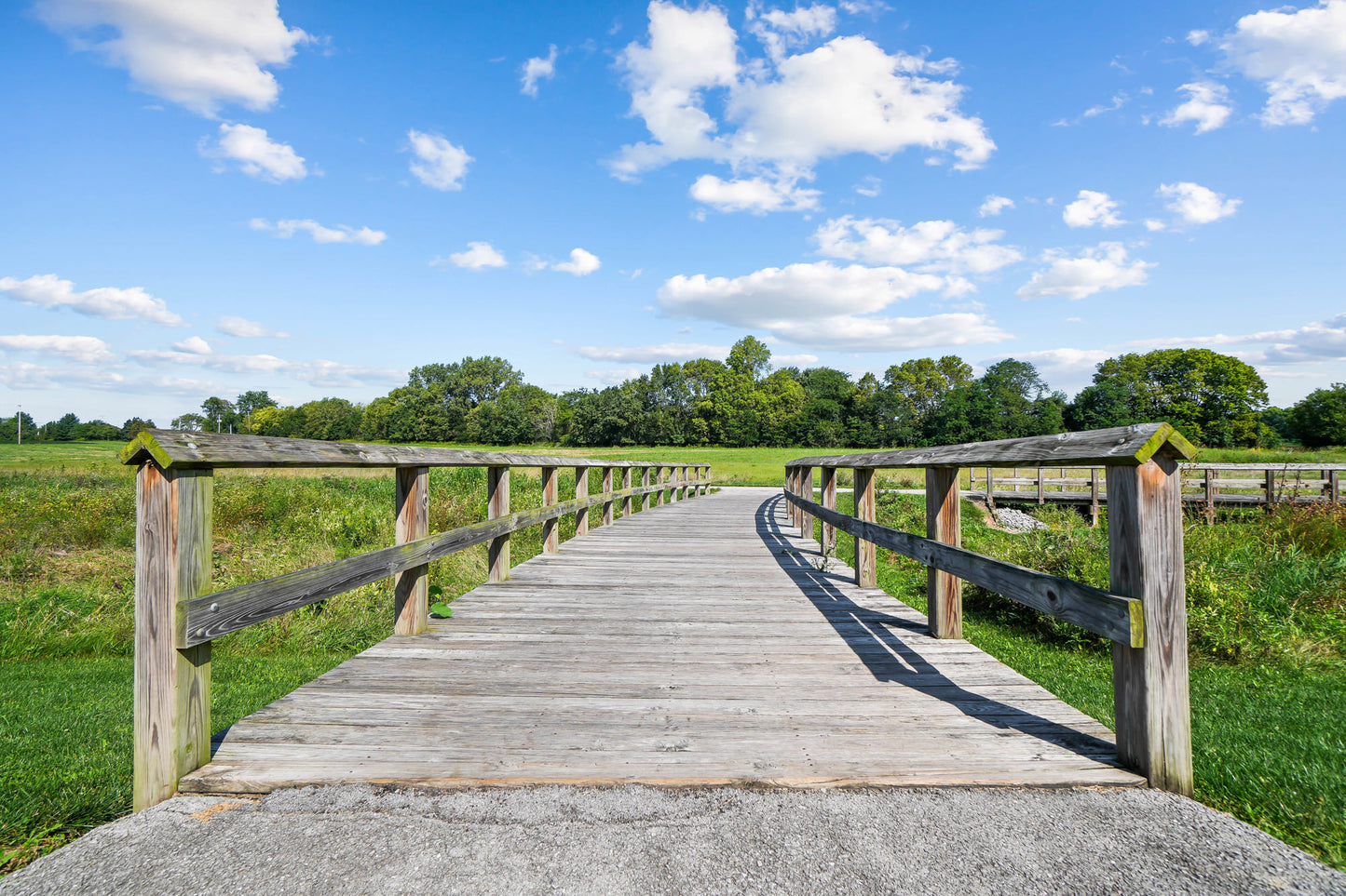 Ottawa Metro Park 27