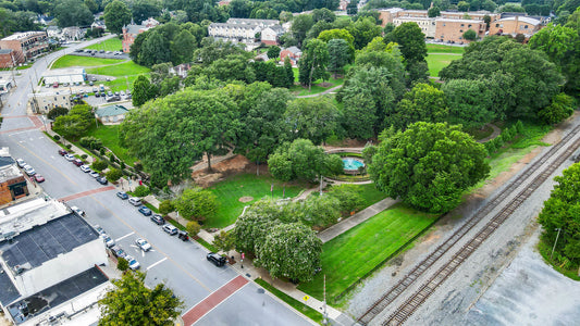 Belmont 018