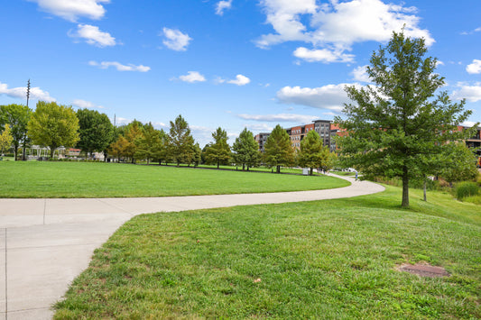 Blue Ash 016
