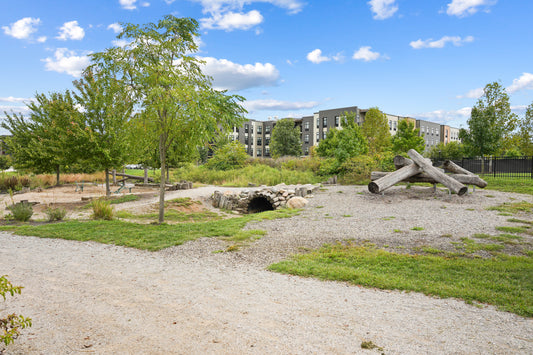 Blue Ash 017