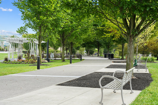 Blue Ash 020