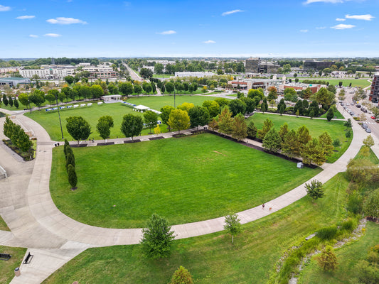 Blue Ash 036