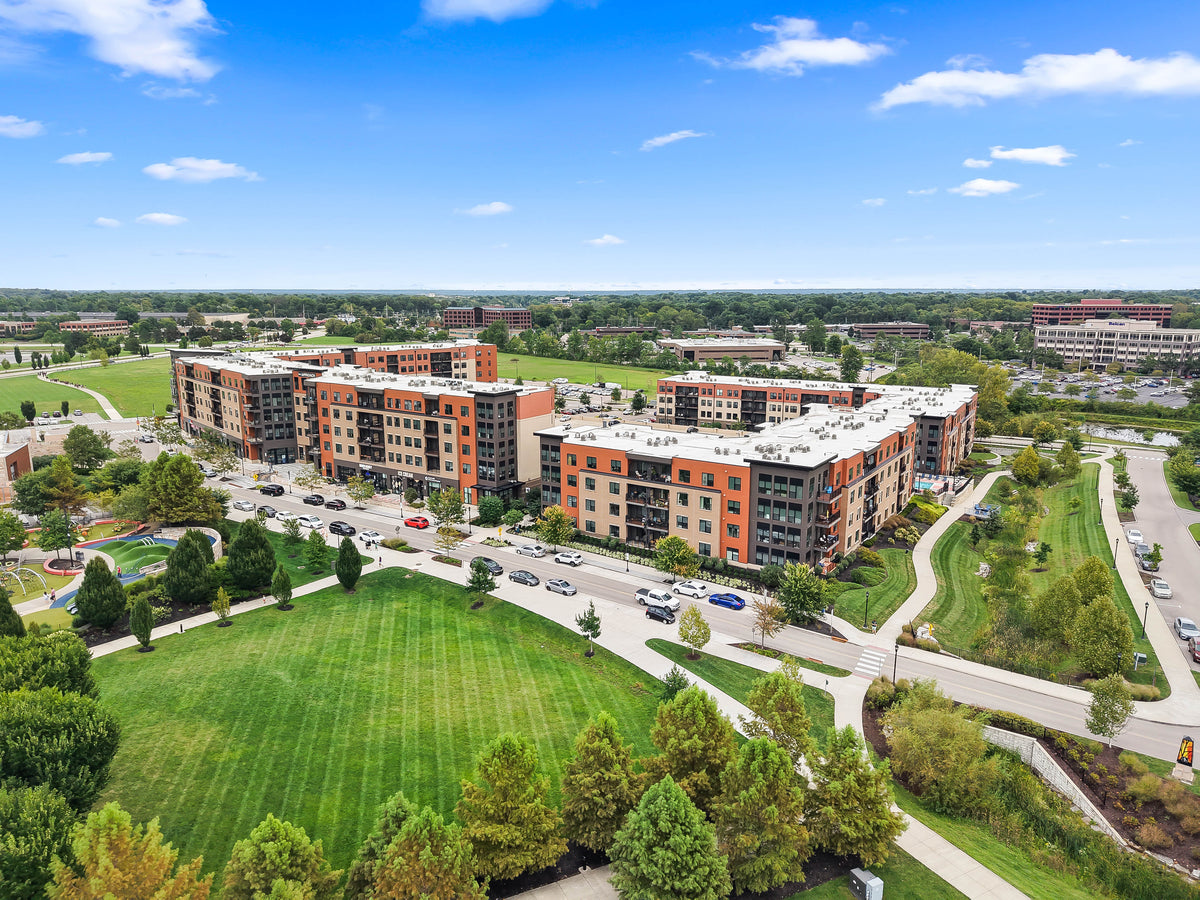 Blue Ash 040