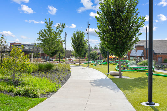 Blue Ash 047