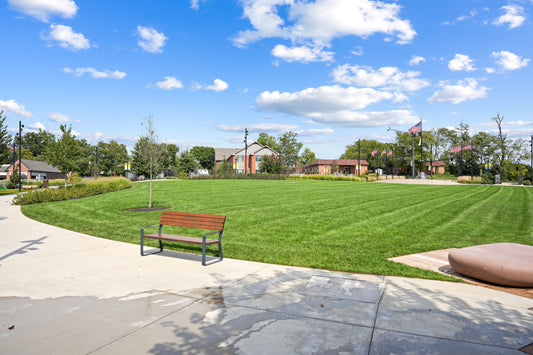 Blue Ash 049