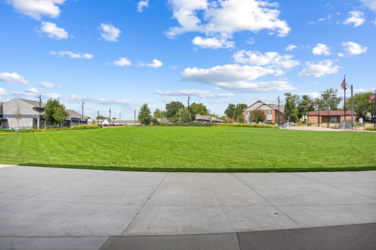 Blue Ash 052