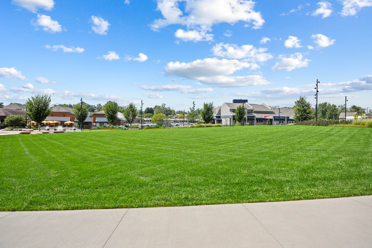 Blue Ash 056