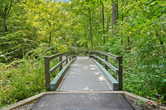 Blue Ash 062