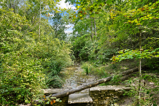 Blue Ash 063