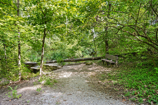 Blue Ash 065