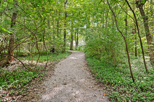Blue Ash 066