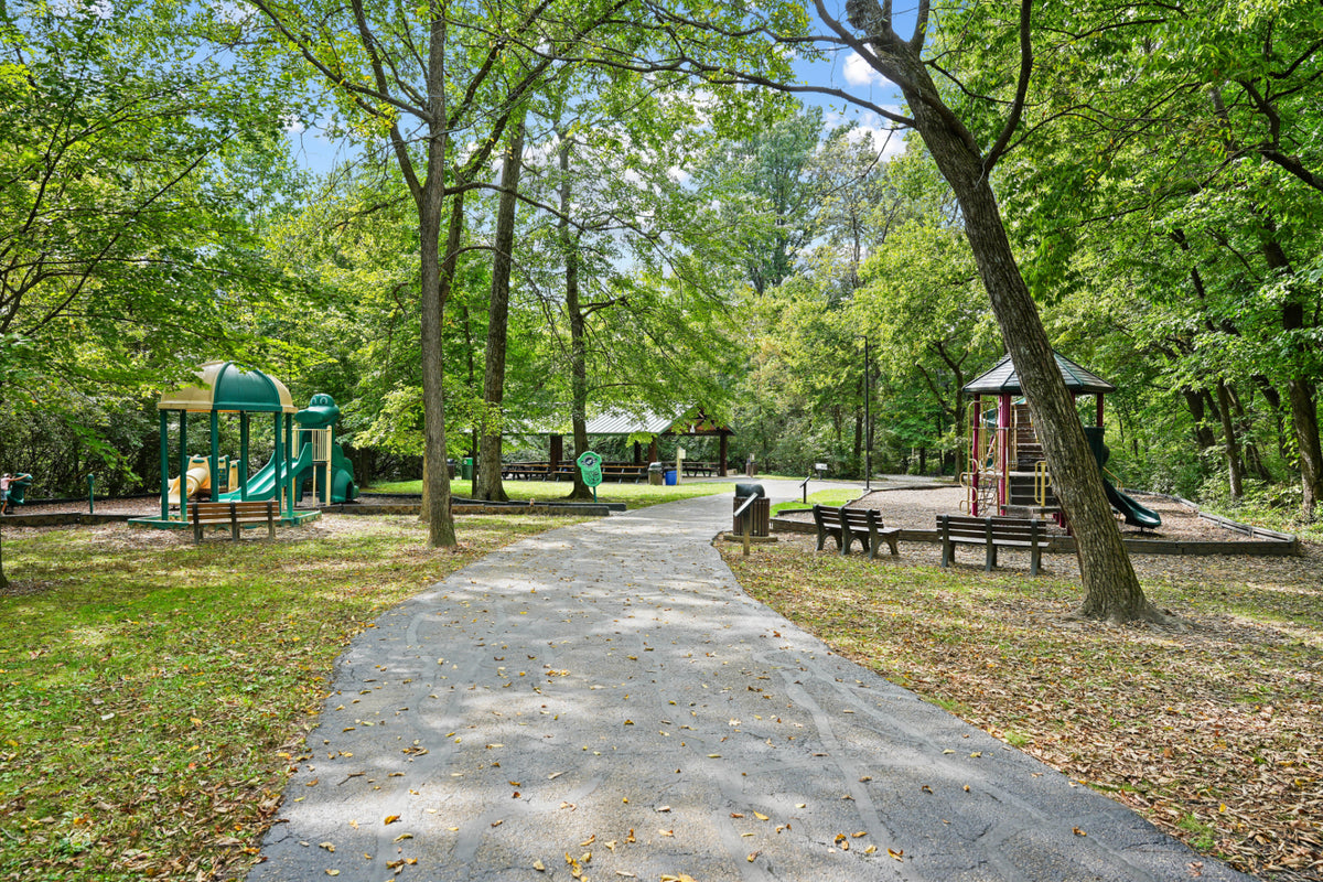 Blue Ash 067