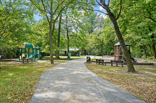Blue Ash 067