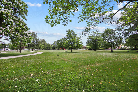 Lakewood 008