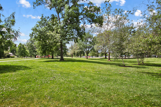 Lakewood 011