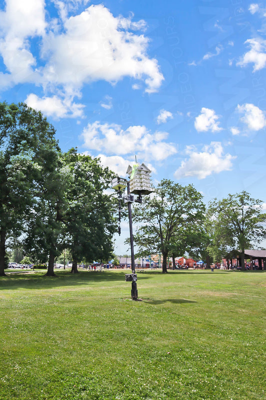 Lakewood 025