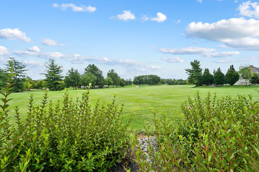 Wetherington Golf & Country Club 033